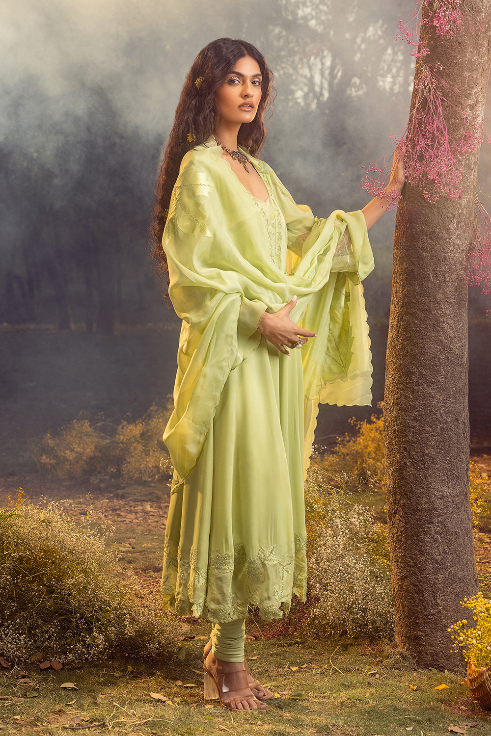 Soft Green Anarkali Set