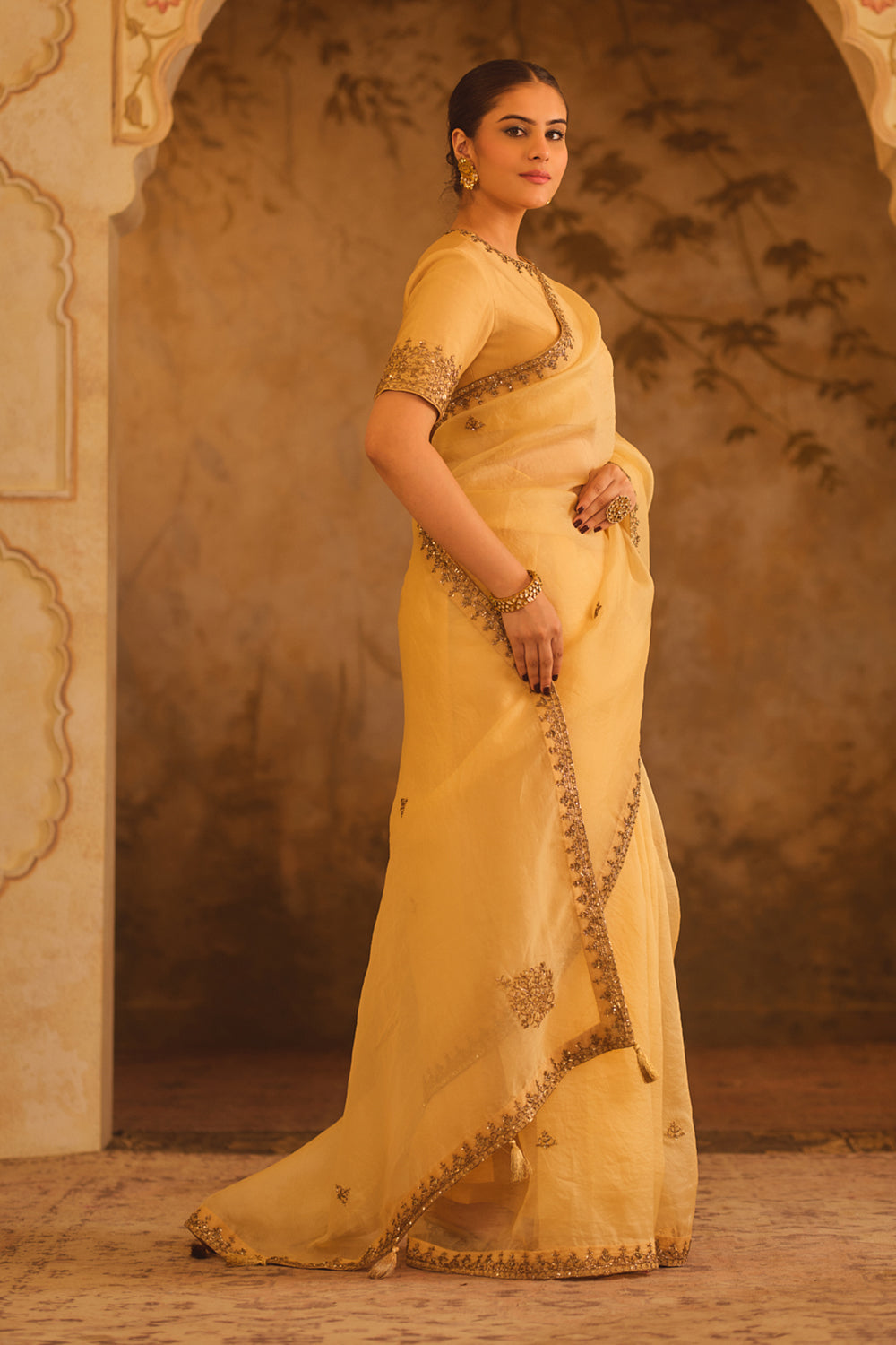 Tajra Gold Organza Saree With Zero-Neck Blouse
