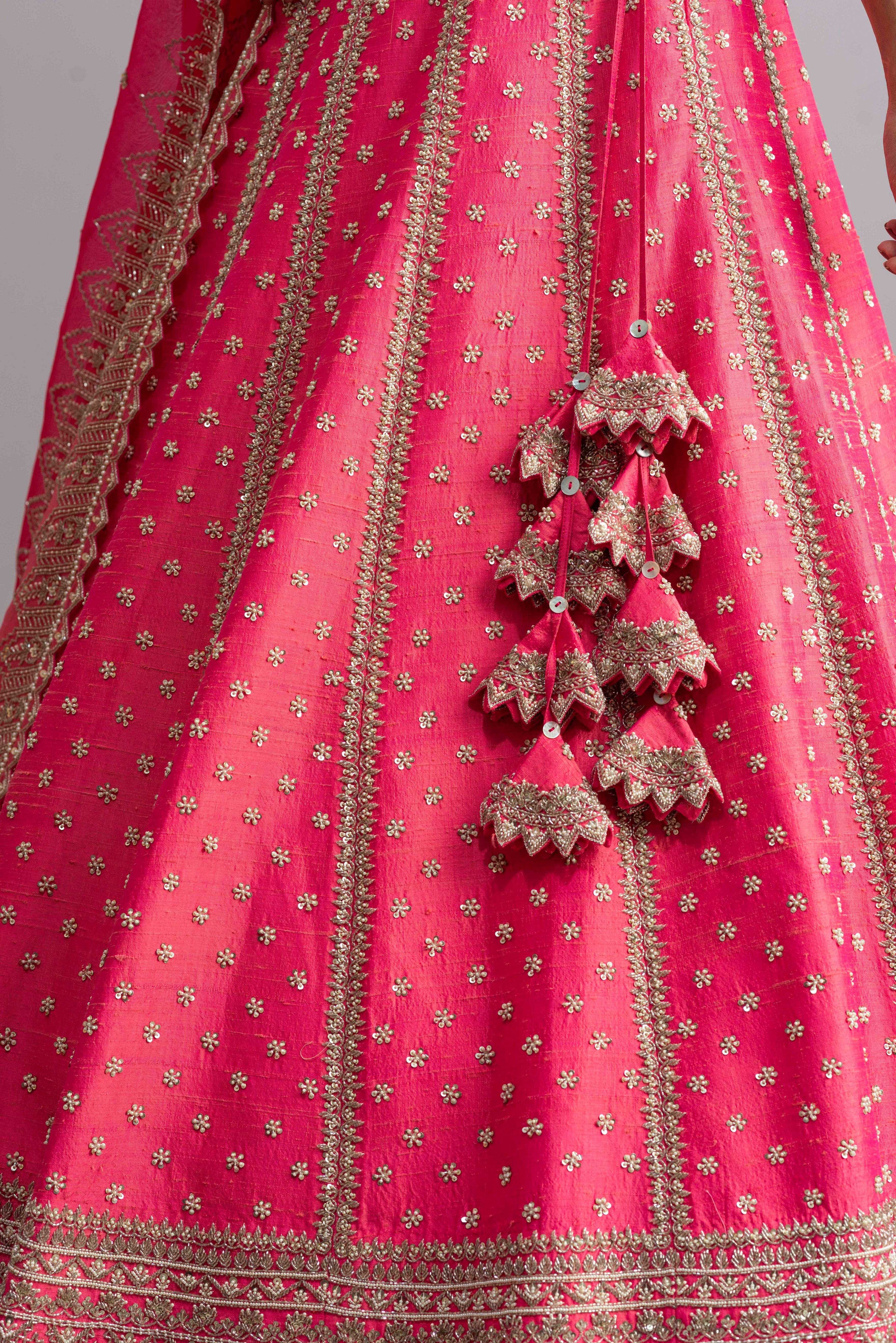 Anushree Reddy - Riwaayat - Candy Pink Embroidered Lehenga Set