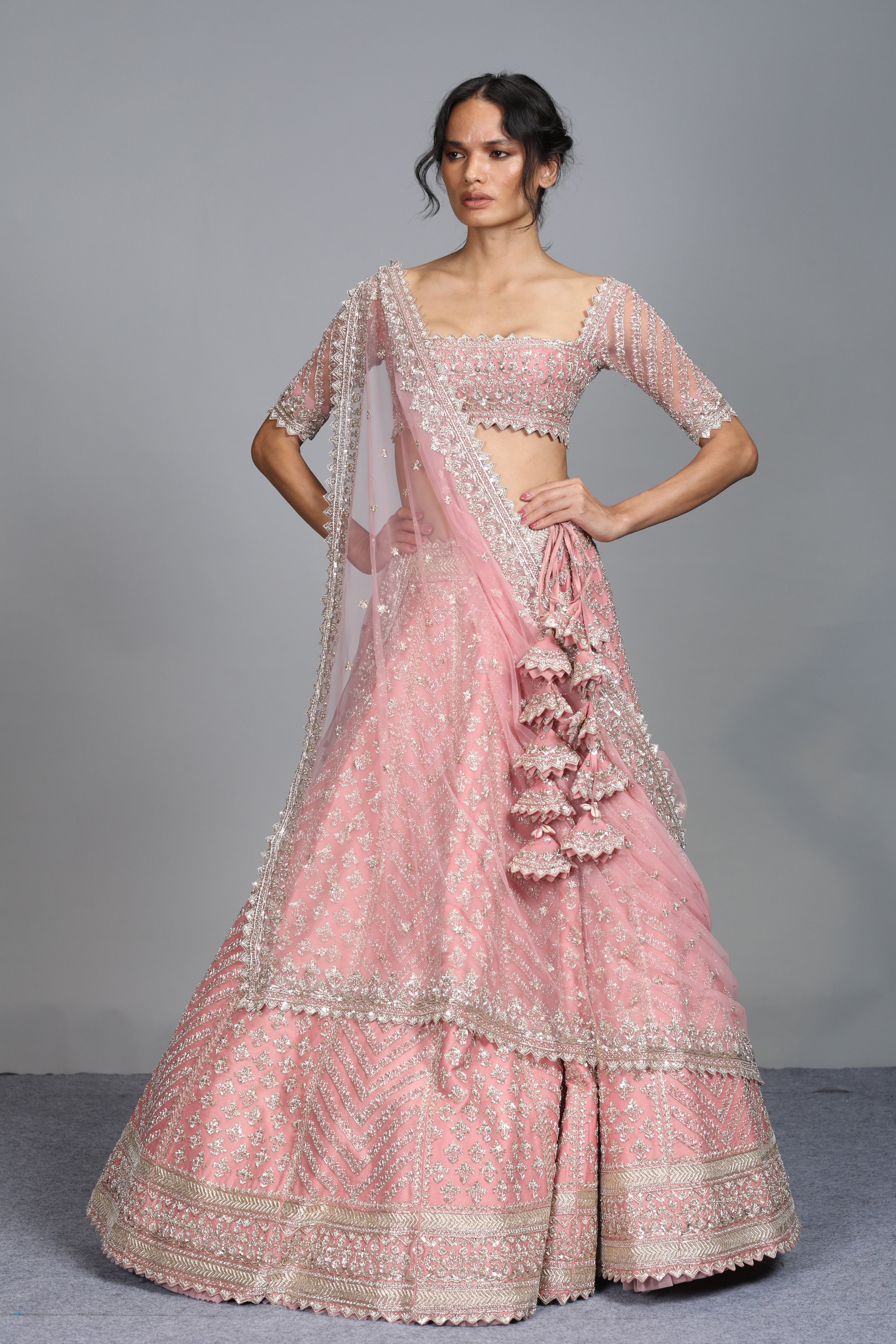 Anushree Reddy - Maahi - Blush Pink Organza Embroidered Lehenga Set