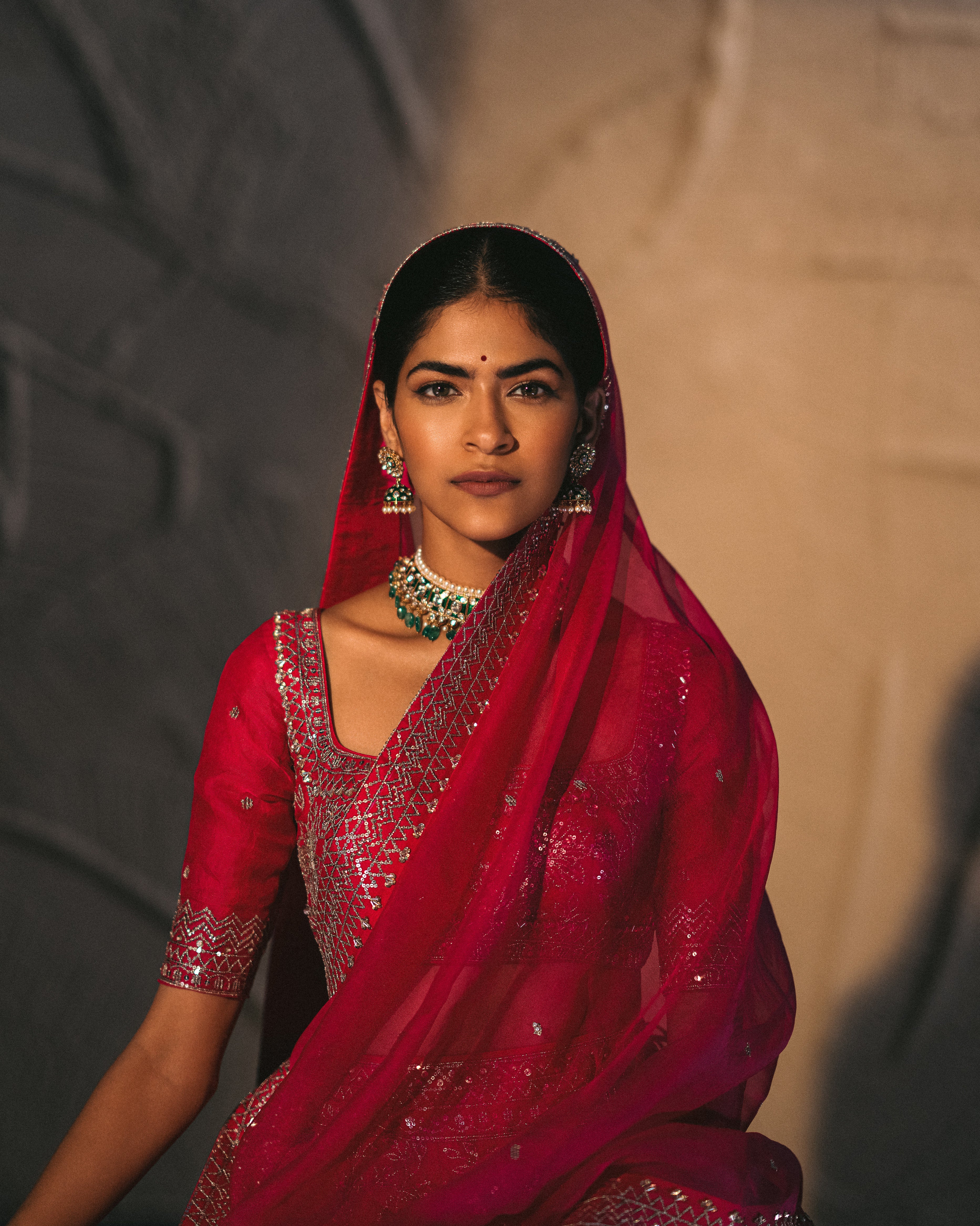 Anushree Reddy - Chhaya - Pink Embroidered Lehenga Set
