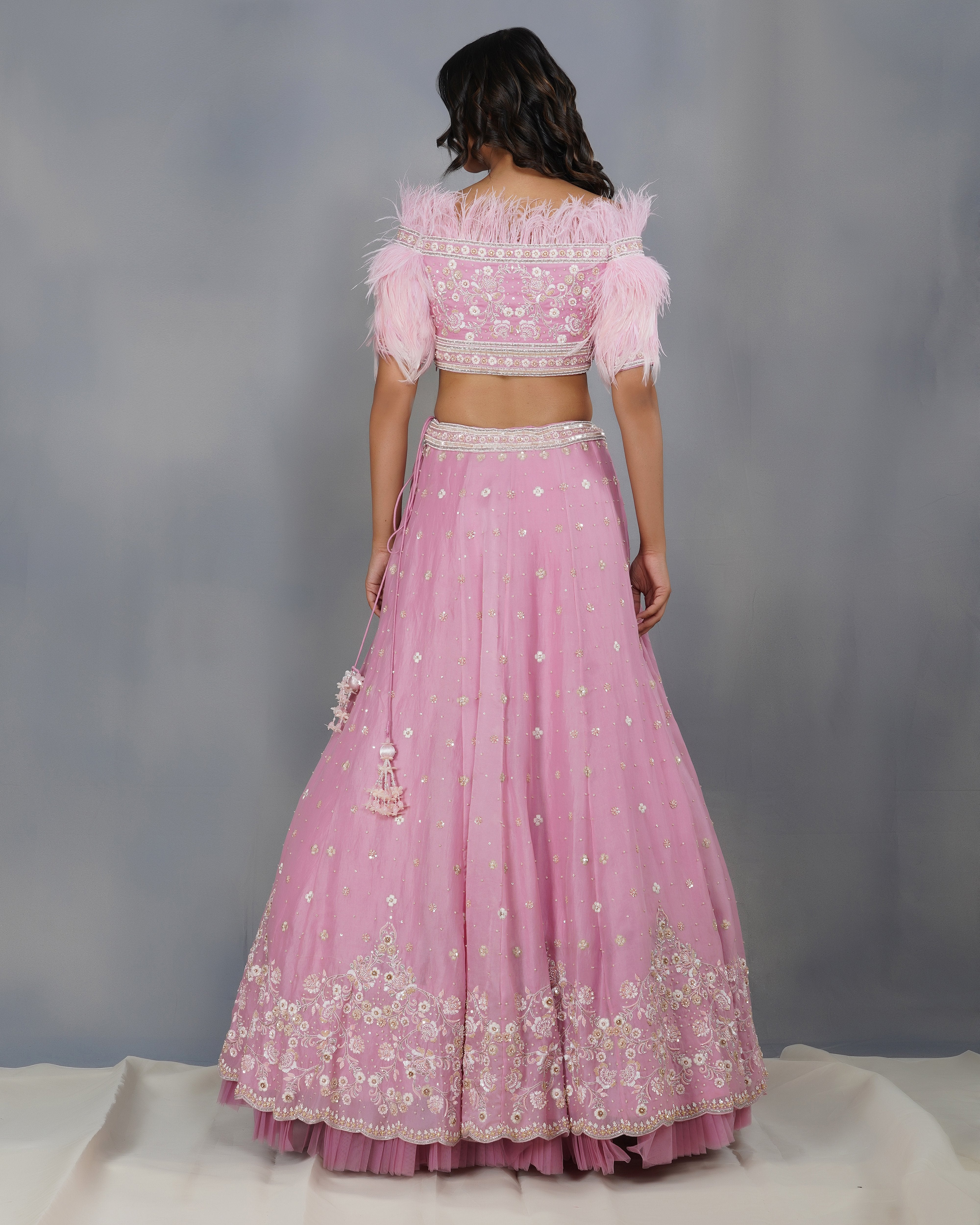Dipti Chhabra - Sana - Blush Pink Feather Embroidered Lehenga Set